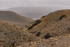 2022-04-24-12-47.-_DSC4958